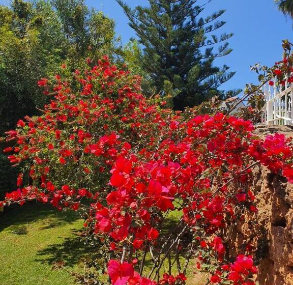 پانسیون Arenosu Comfort Country Resort