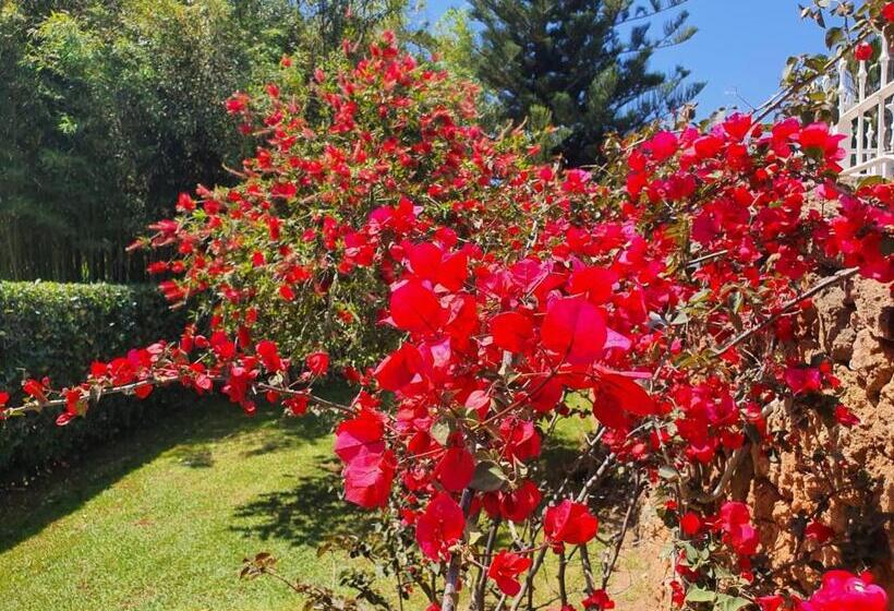 پانسیون Arenosu Comfort Country Resort