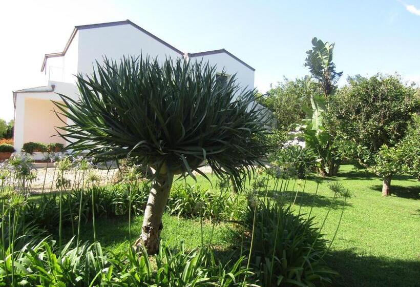 پانسیون Arenosu Comfort Country Resort