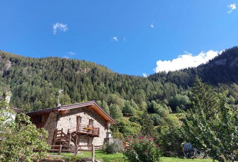 پانسیون La Barma