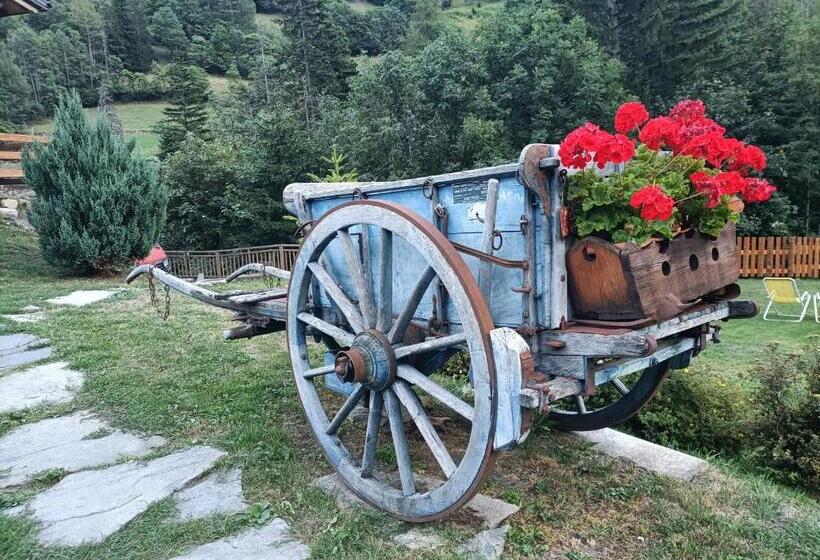 پانسیون La Barma