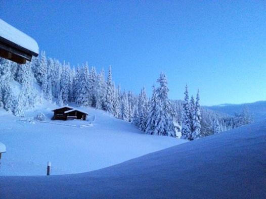 ユースホステル Gasthaus Furlhütte