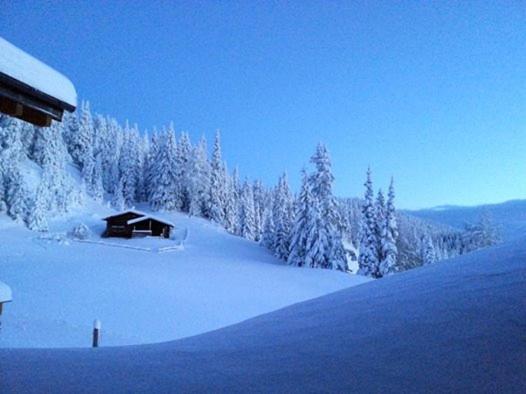 هاستل Gasthaus Furlhütte