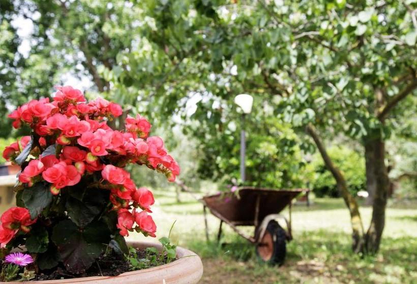 فندق Agriturismo La Gioia