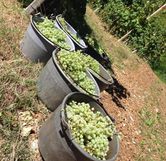 هتل Azienda Agricola Campion