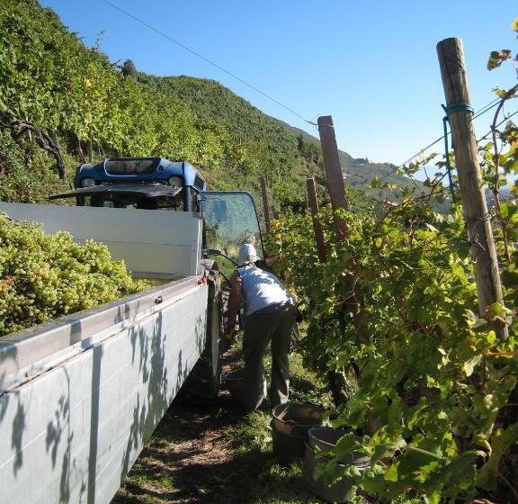 هتل Azienda Agricola Campion