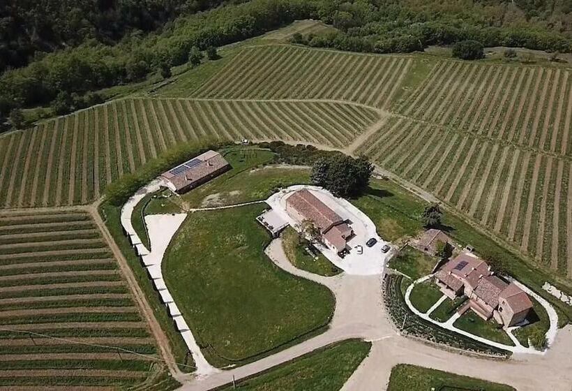 فندق Borgo Macereto