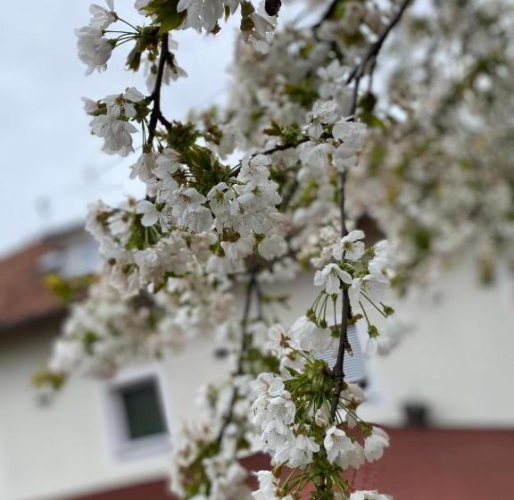 پانسیون Garni San Paolo