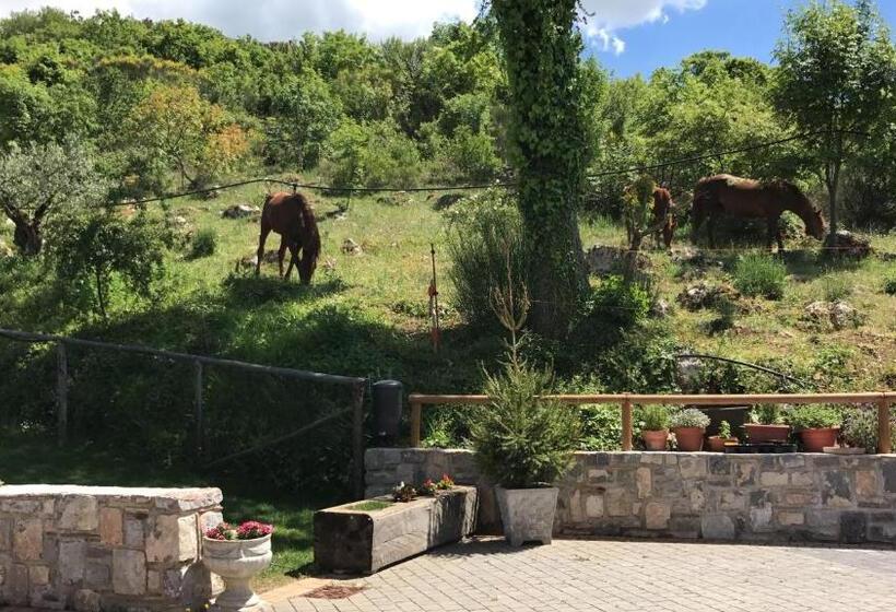 هتل Agriturismo Terra Verde