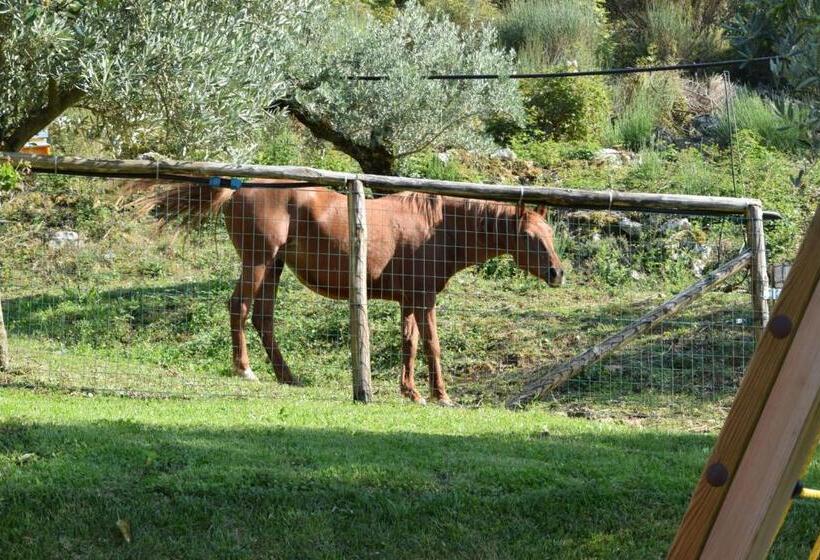 هتل Agriturismo Terra Verde