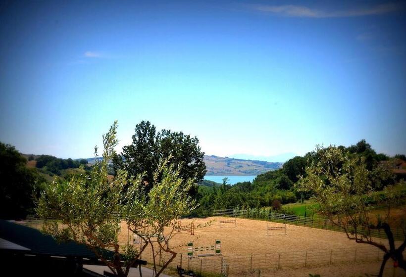 בית מלון כפרי Agriturismo Yes Boss