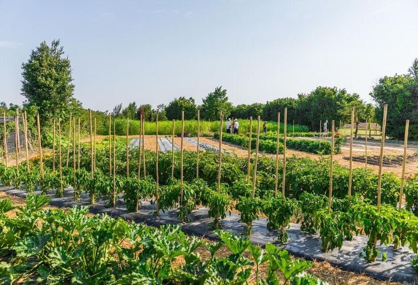 Общежитие La Posa Degli Agri