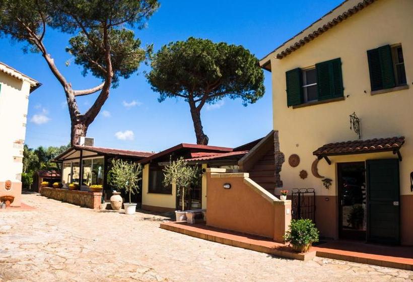 ユースホステル Locanda Di Ansedonia   Ristorante Griglio