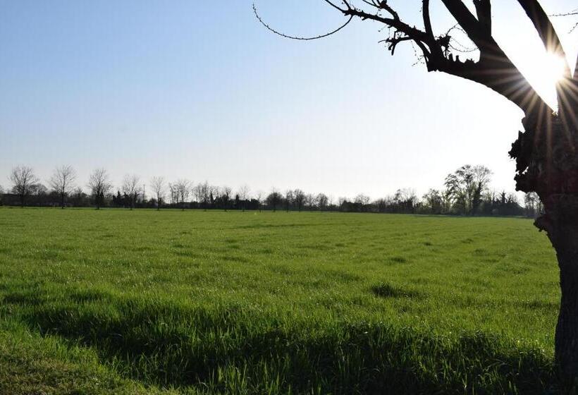 ホテル Agriturismo Cà Del Lupo