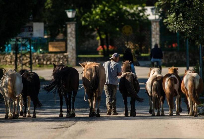 هتل Agriturismo Maneggio Vallecupa