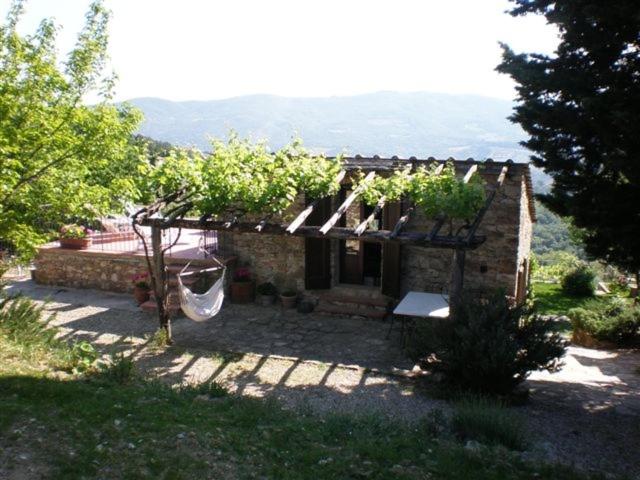ホテル Agriturismo Podere Torre