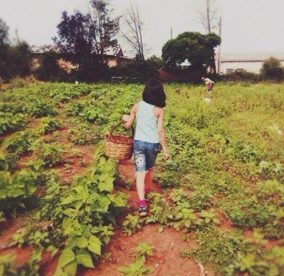 호텔 Biobagnolese Agriturismo