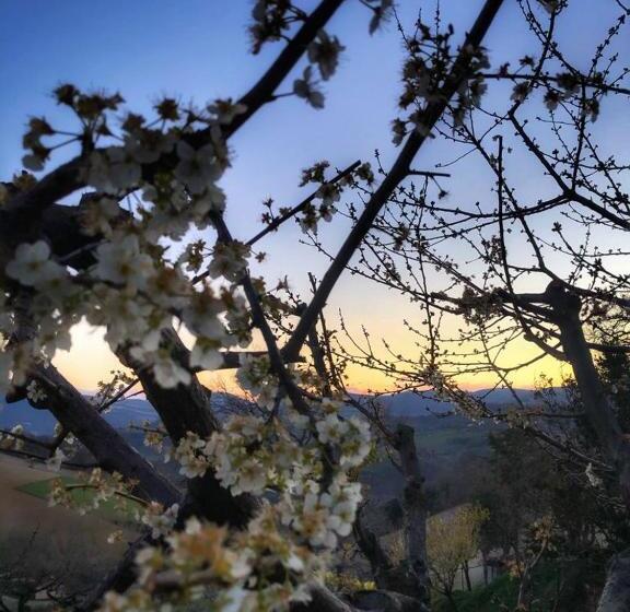 هتل Agriturismo L'antico Oliveto