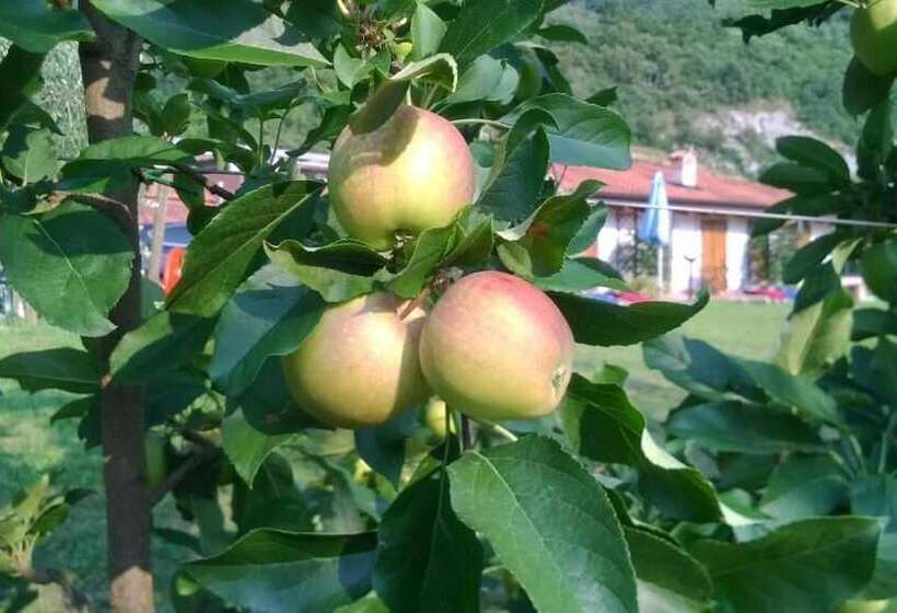 هتل Agriturismo Trefrutti