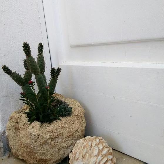 ペンション Casa Vacanze Tevere