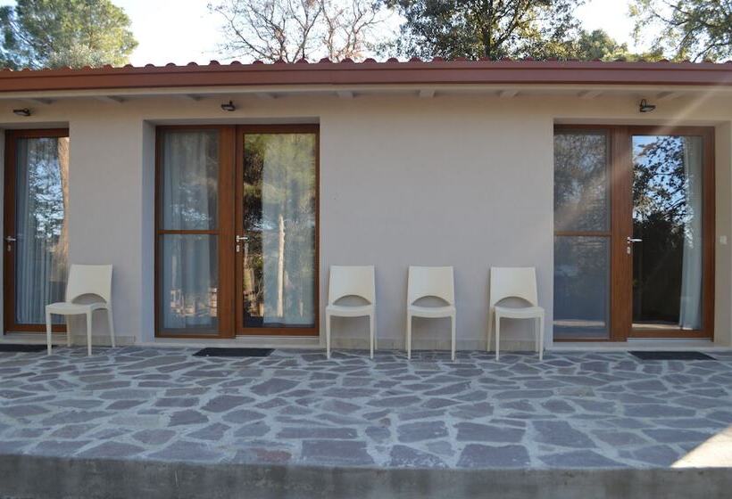 호텔 Agriturismo Poggio Ciliegio