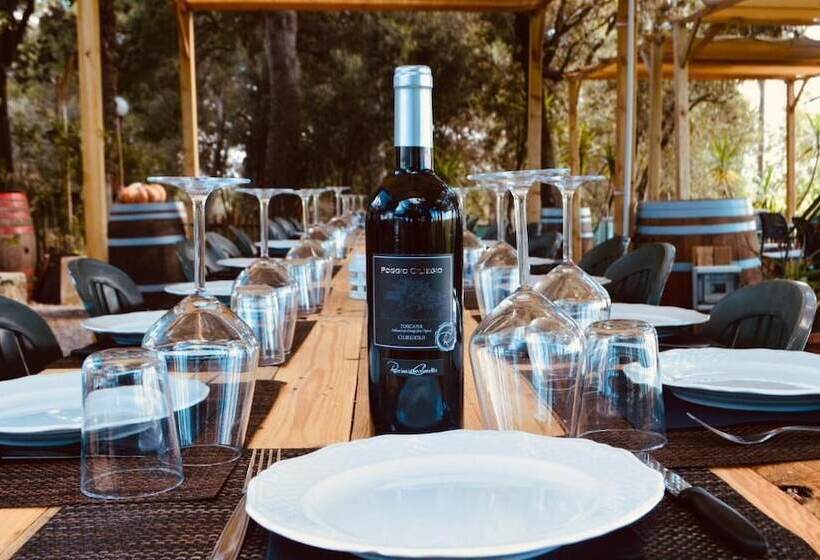 Отель Agriturismo Poggio Ciliegio