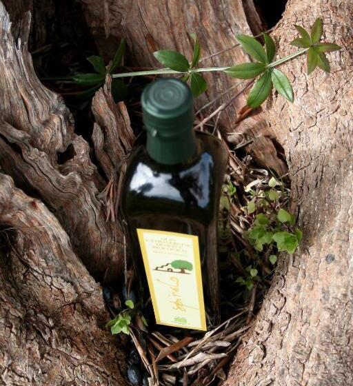 호텔 Agriturismo Spirdo