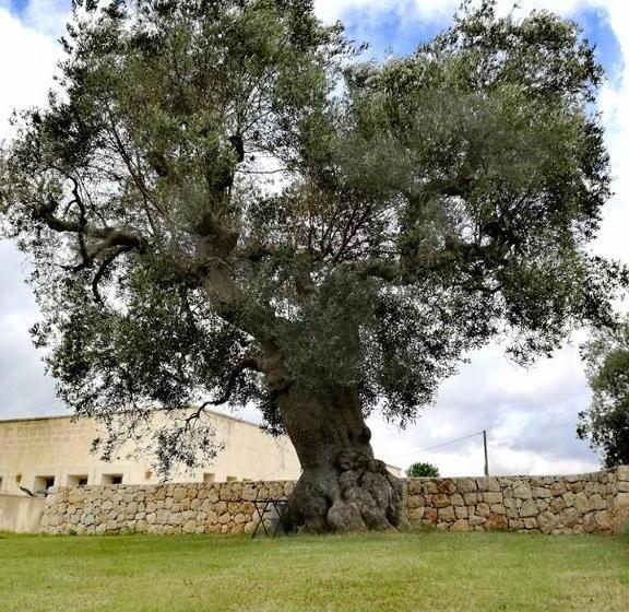 호텔 Agriturismo Spirdo