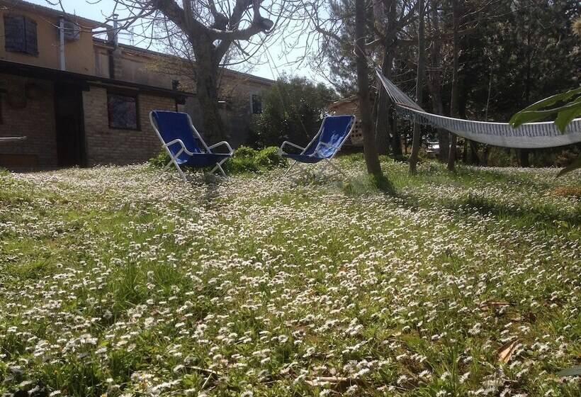 בית מלון כפרי Agriturismo Via Del Campo