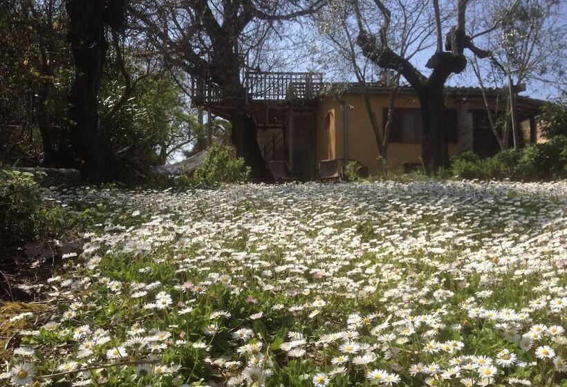 בית מלון כפרי Agriturismo Via Del Campo