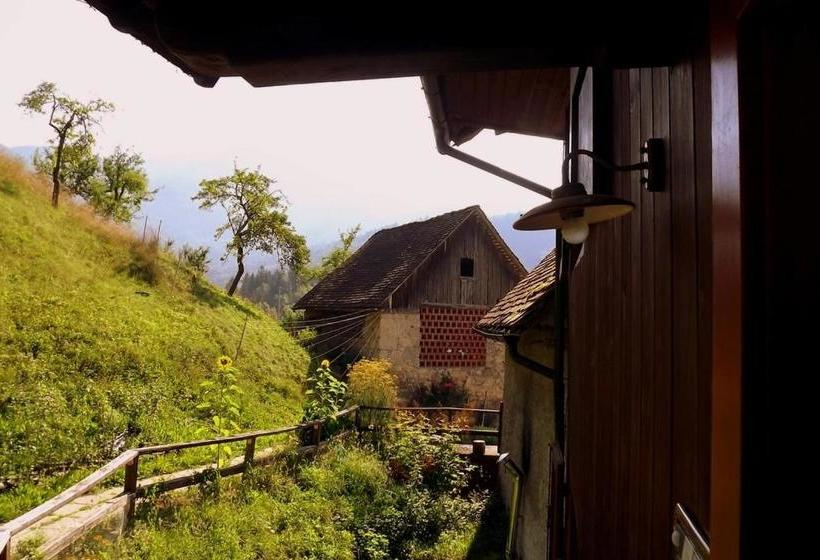 פנסיון Di Baut