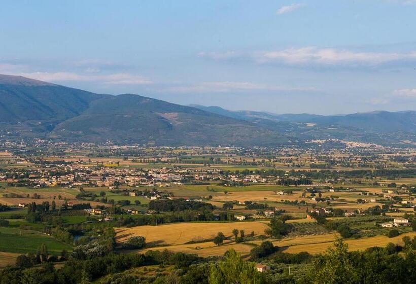 Отель Agriturismo Il Cicaleto