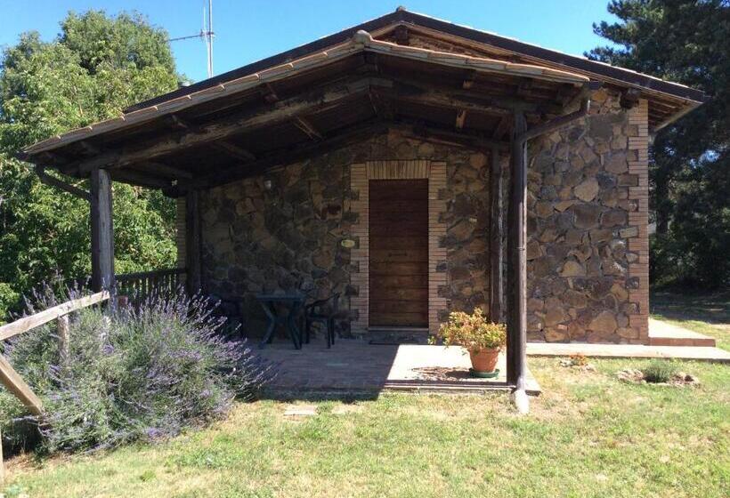 호텔 Agriturismo Il Morello
