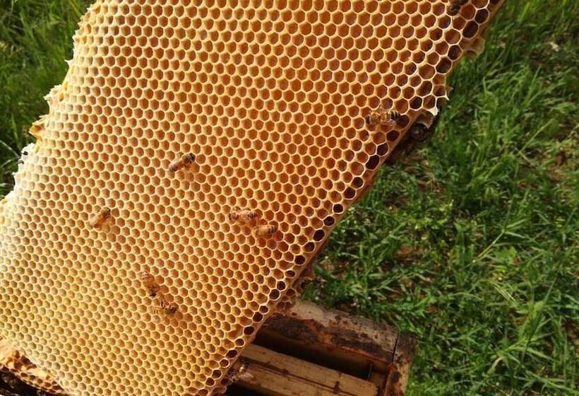 호텔 Agriturismo La Biandrina