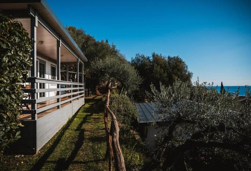 Отель Agriturismo Rose Di Pietra