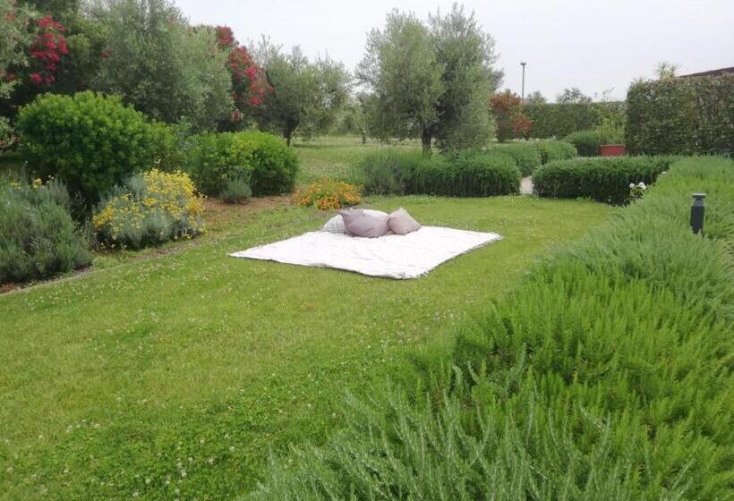 호텔 Il Casale Degli Ulivi   Agriturismo