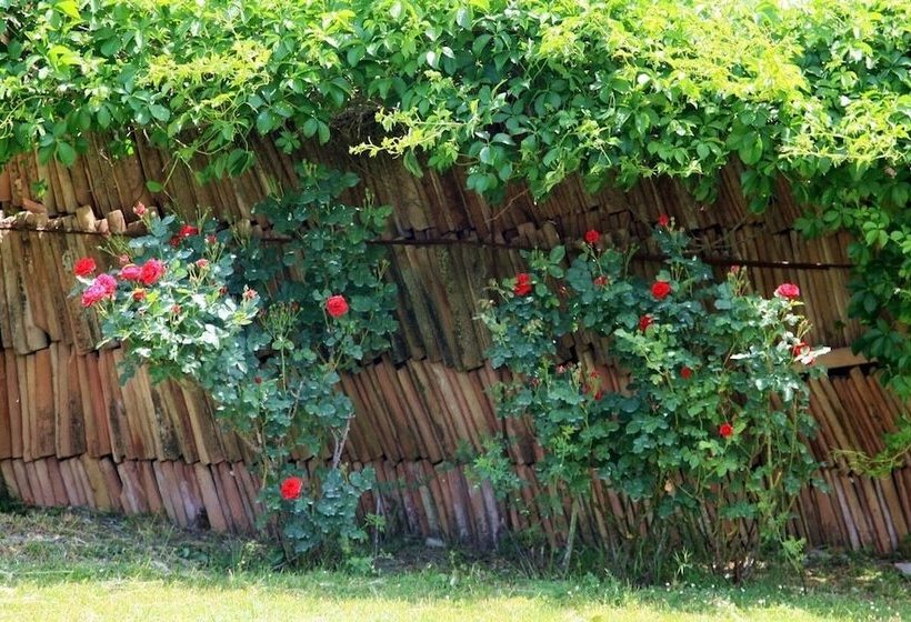 فندق Agriturismo Podere Luchiano