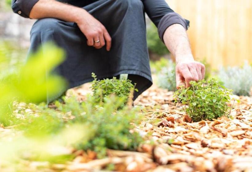 پانسیون Ladurner