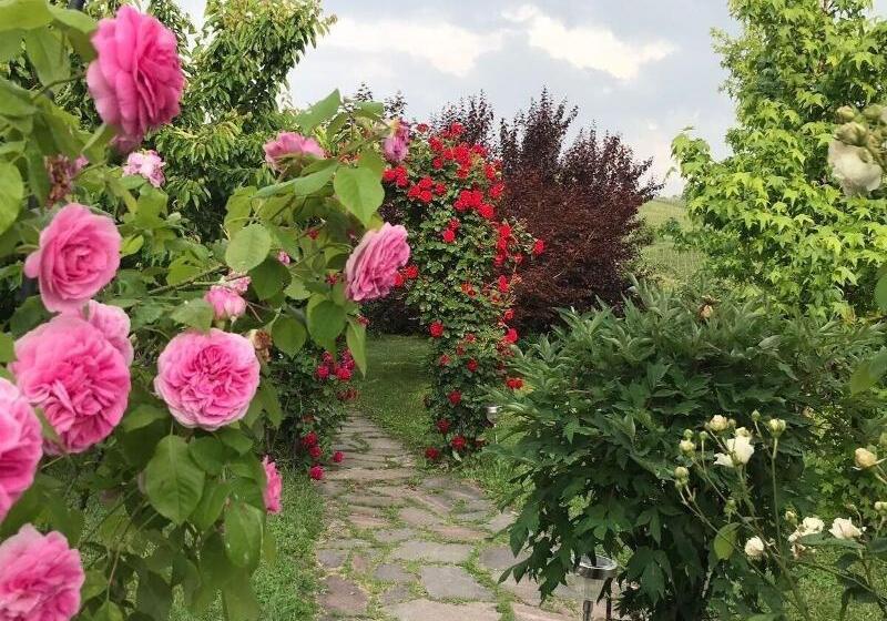بنسيون Residence Delle Rose