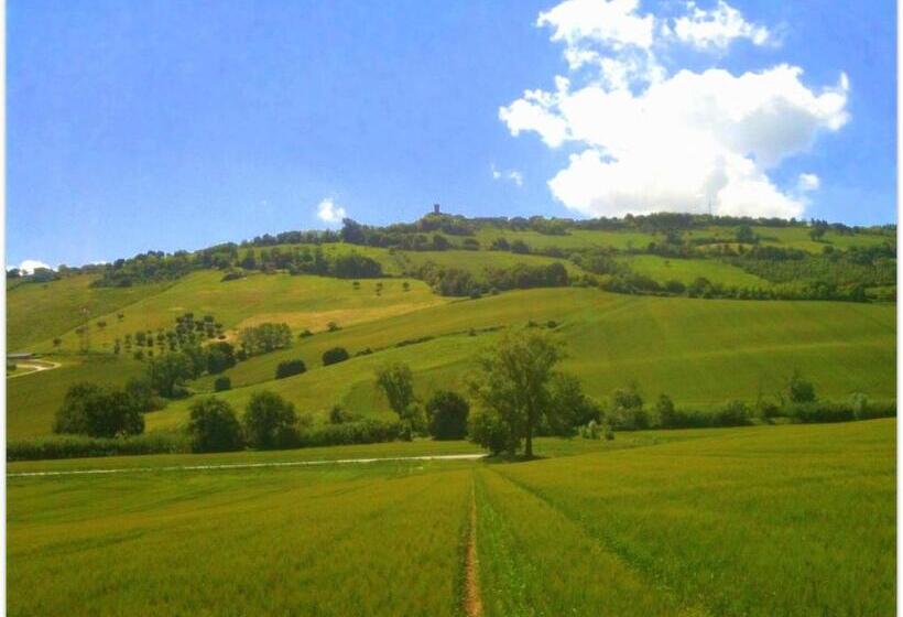 Отель Agriturismo Casale Il Gallo Bianco
