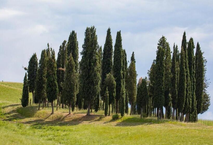בית מלון כפרי Agriturismo La Poderina