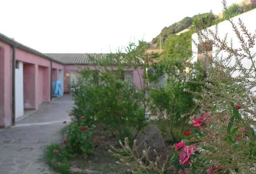 酒店 Agriturismo Sa Tanca Noa