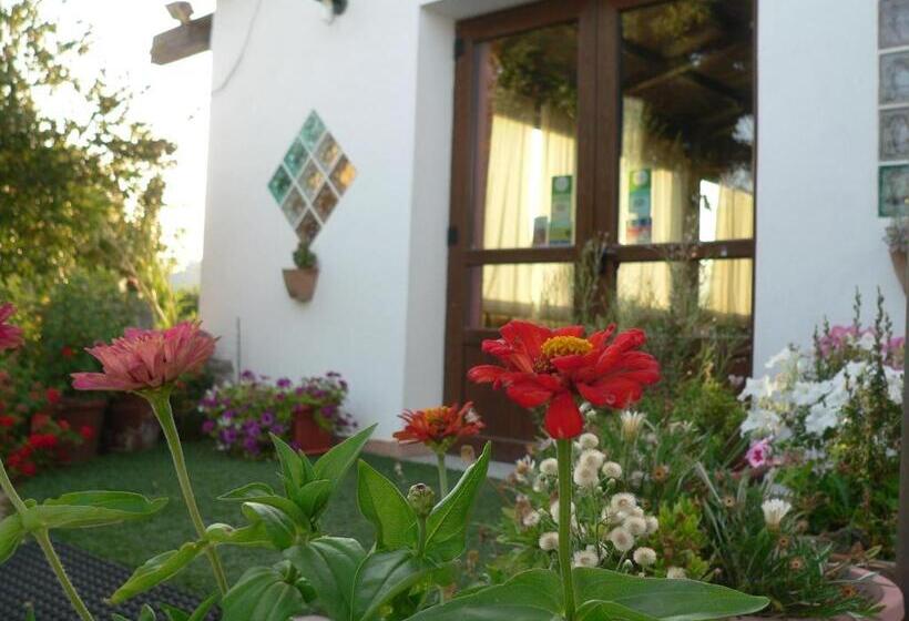 酒店 Agriturismo Sa Tanca Noa