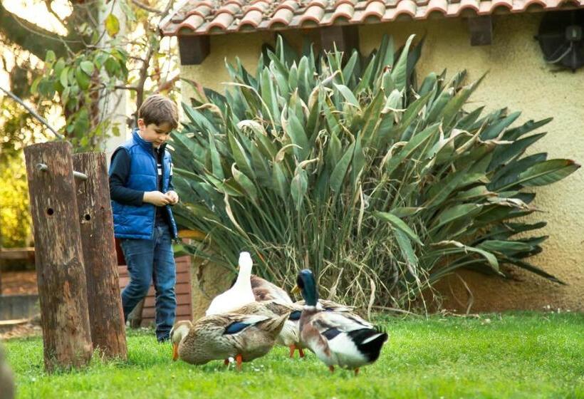 هتل Azienda Agrituristica Il Pago