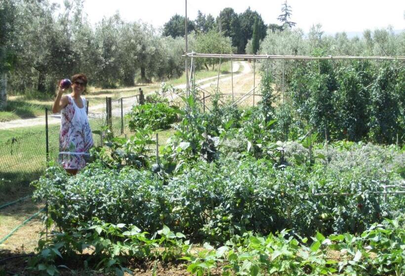 فندق Agriturismo Cornieto