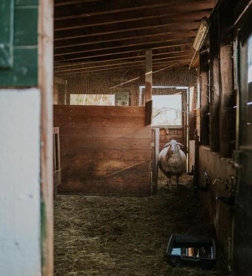 酒店 Polisena L Altro Agriturismo Veg