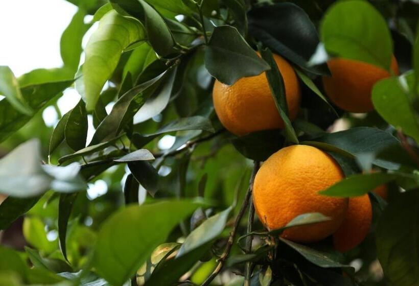 فندق Relais Casamassima