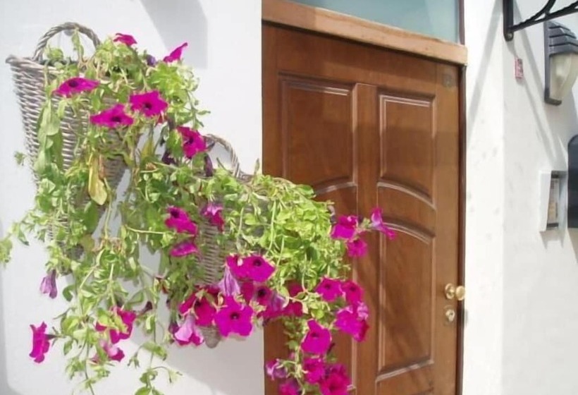 بنسيون Guest House Bed And Roses