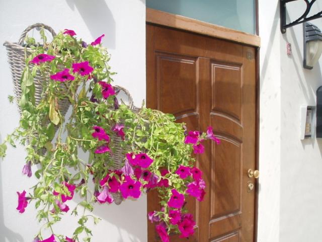 بنسيون Guest House Bed And Roses