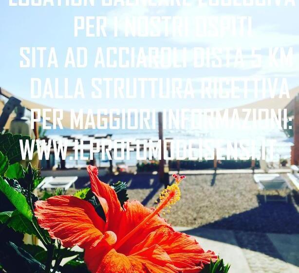 ペンション Il Profumo Dei Sensi